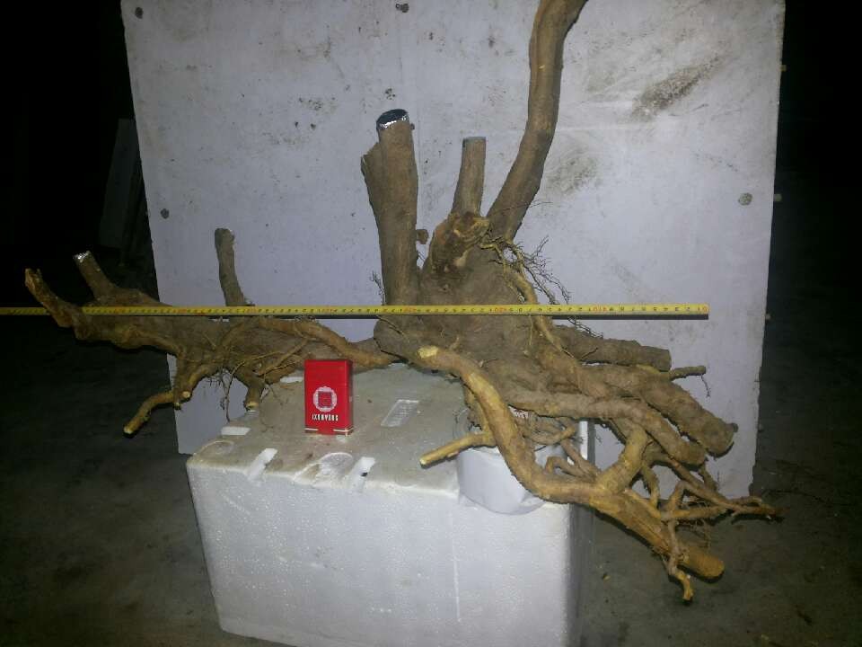 03.jpg
