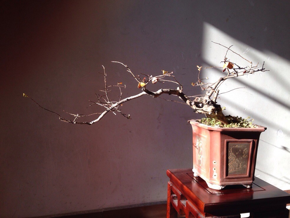 QQͼƬ20131224195553.jpg