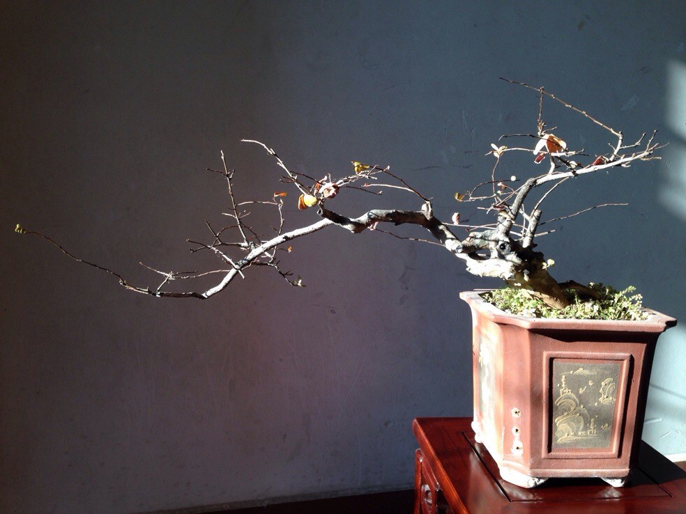 QQͼƬ20131224195557.jpg