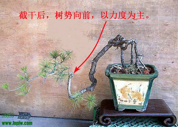 114936xhzz7jby7790byz9.jpg - .jpg