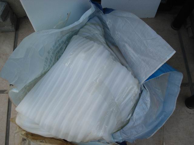 DSC01576.JPG