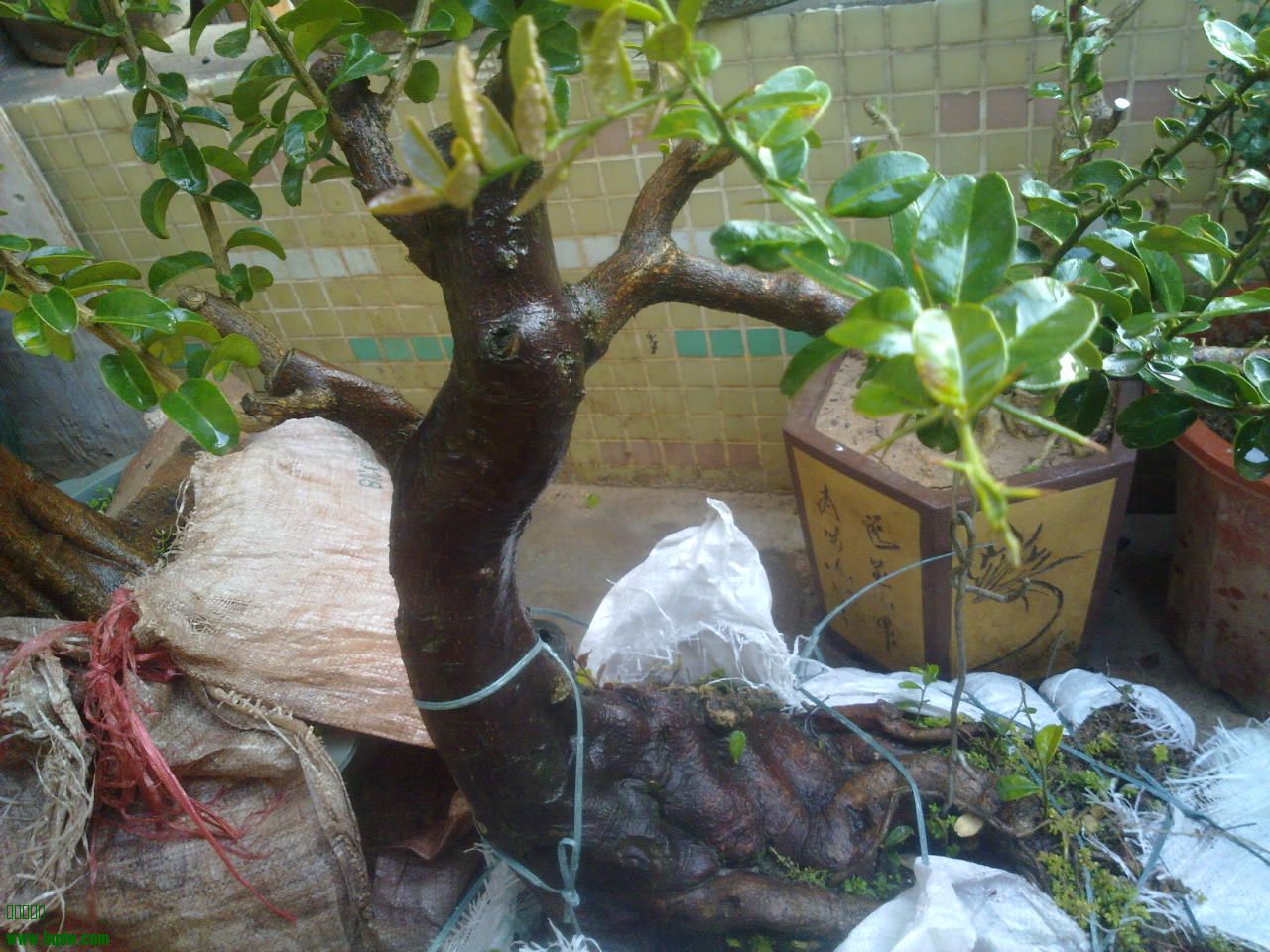 201401031477.jpg