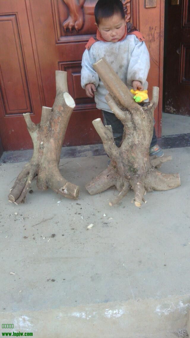 QQͼƬ20140103224505.jpg