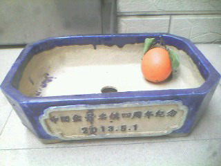 IMG0310A.jpg