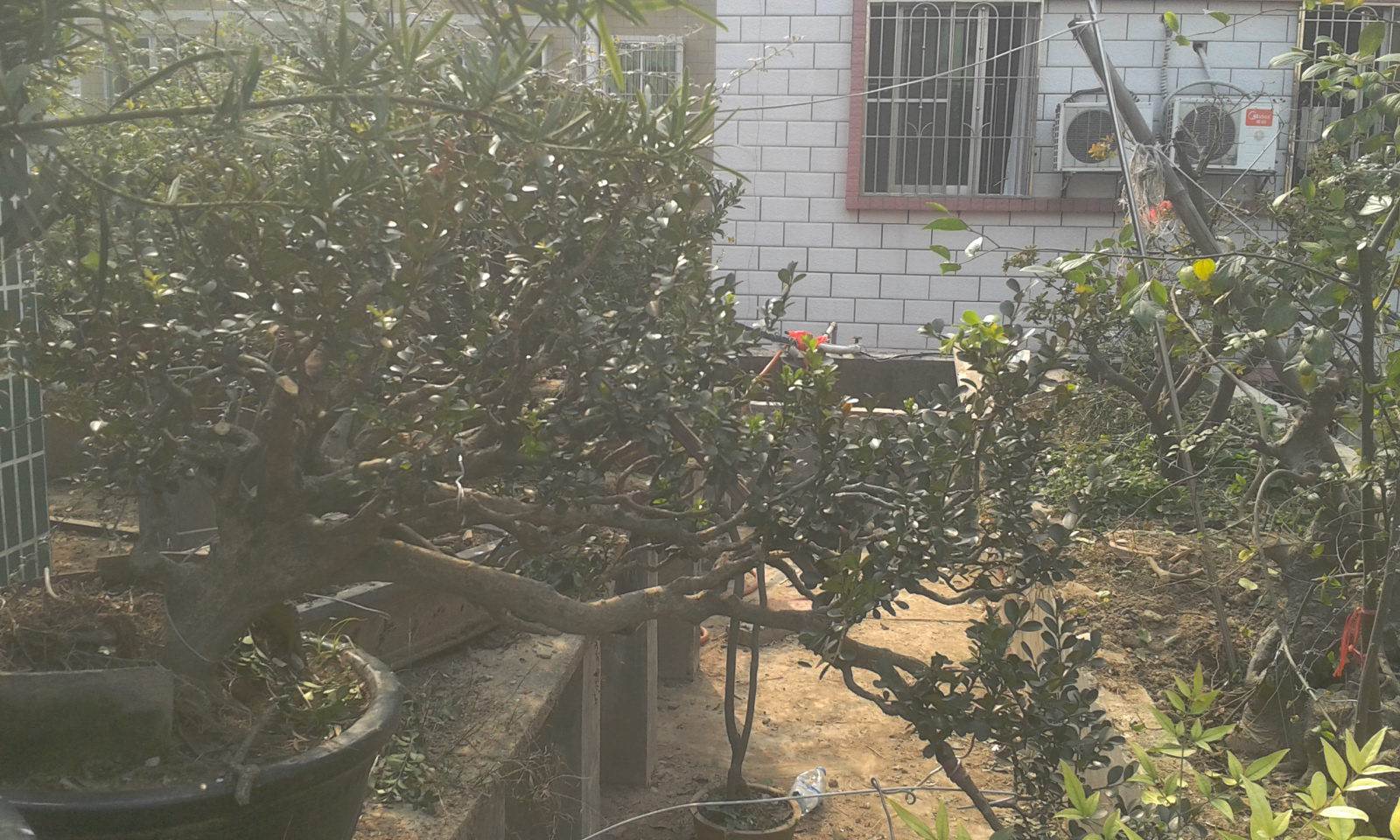 2014-01-04 13.30.02.jpg