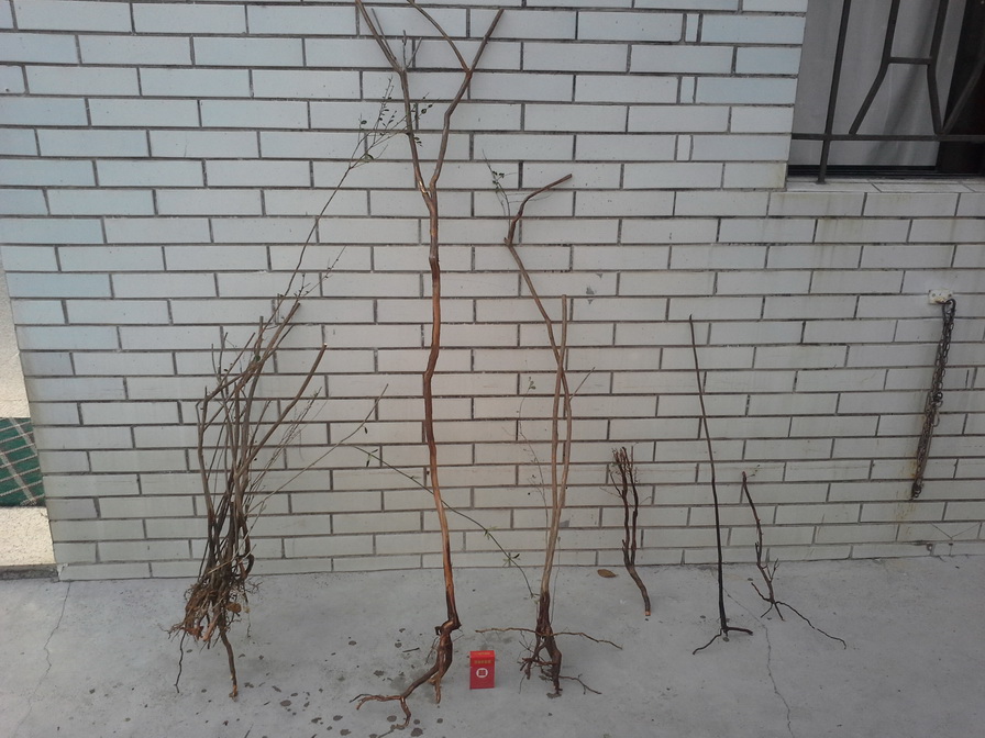20140104_165903_С.jpg