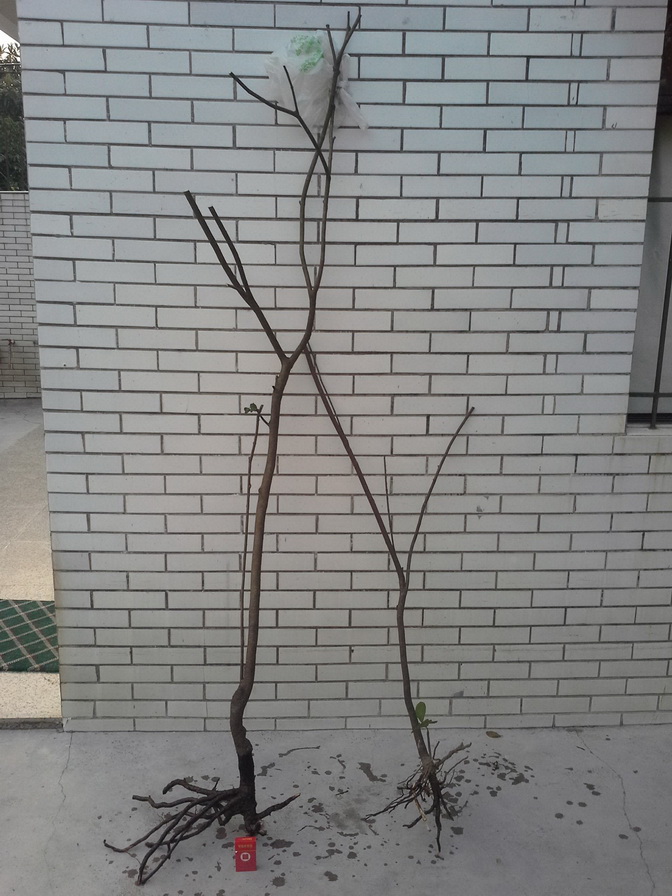20140104_170214_С.jpg