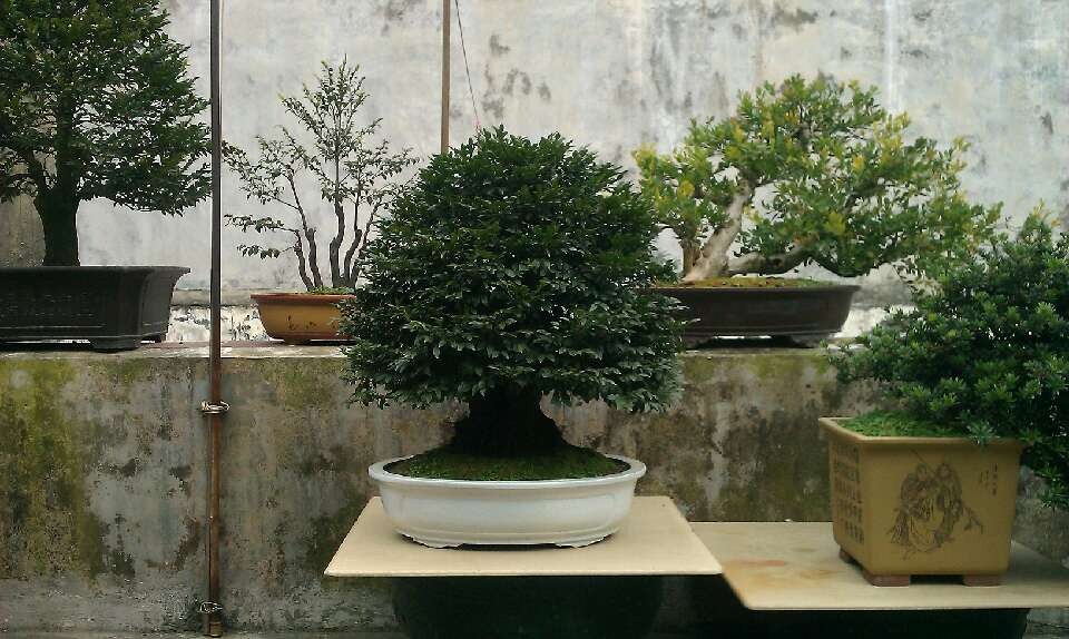 QQͼƬ20140103154626.jpg