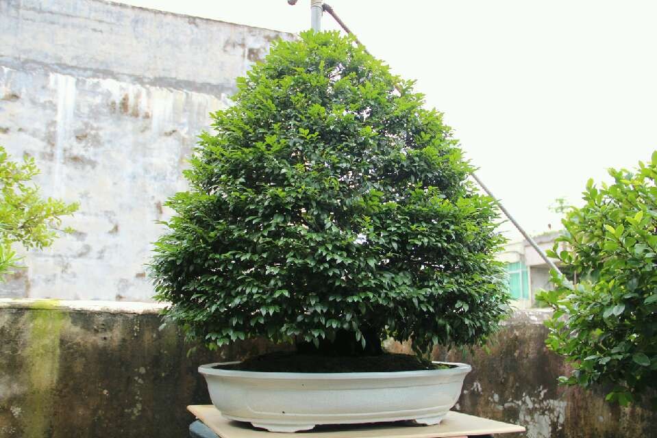 QQͼƬ20140103154929.jpg