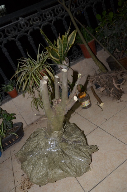 ǰ0.jpg