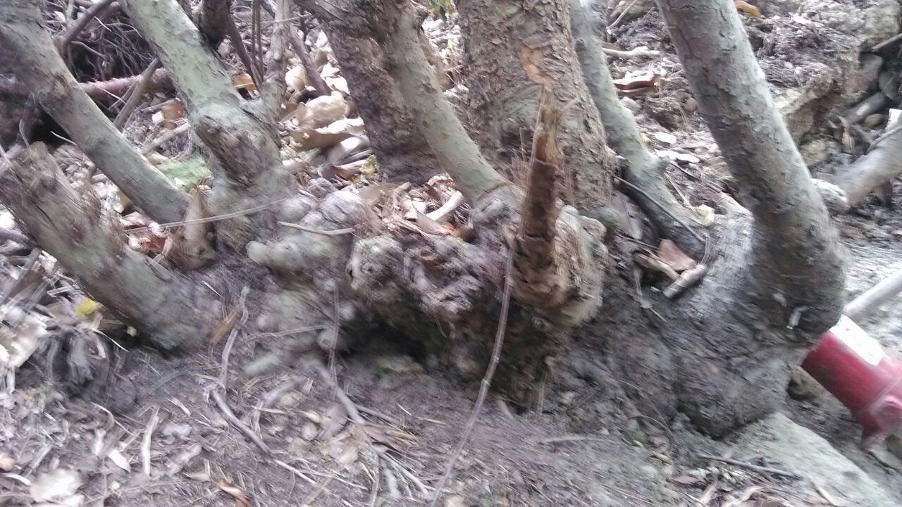 QQͼƬ20140105150313.jpg