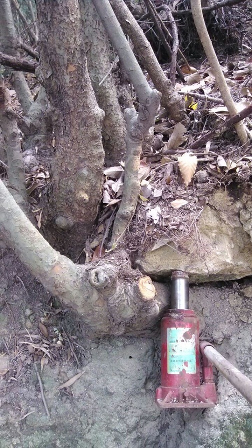 QQͼƬ20140105150331.jpg