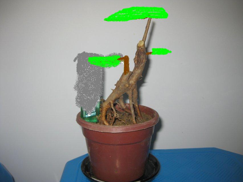 ޸ĺŮ.JPG