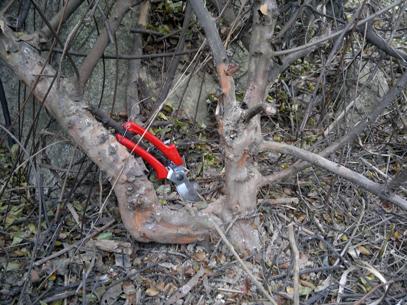 20140106964.jpg