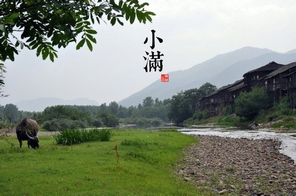 Ƭ 194.jpg