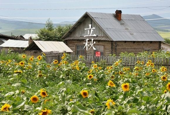 Ƭ 199.jpg