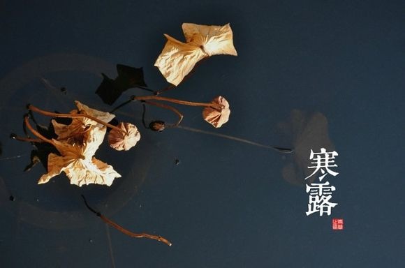 Ƭ 203.jpg