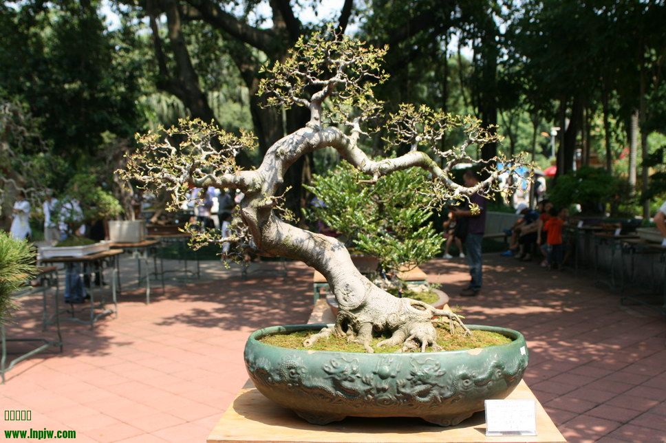 SBQ_20131003_1118.JPG
