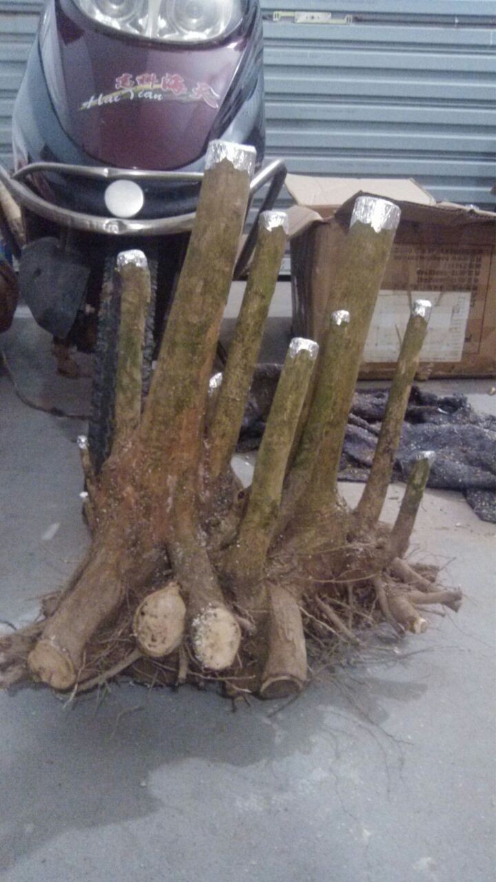 QQͼƬ20140109000043.jpg