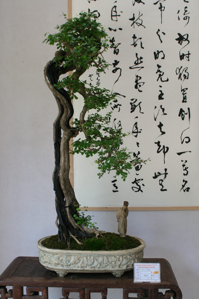 SBQ_20131003_1138.JPG