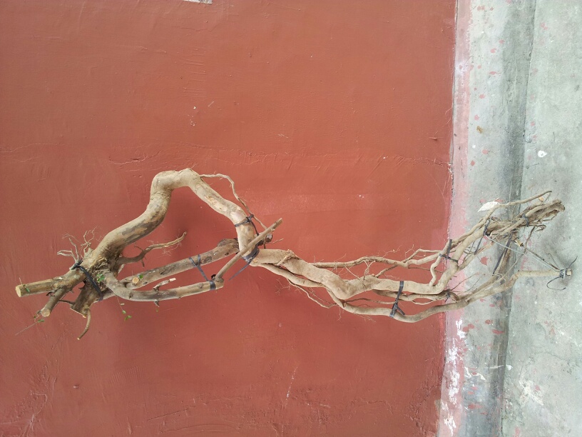20140102_144154.jpg