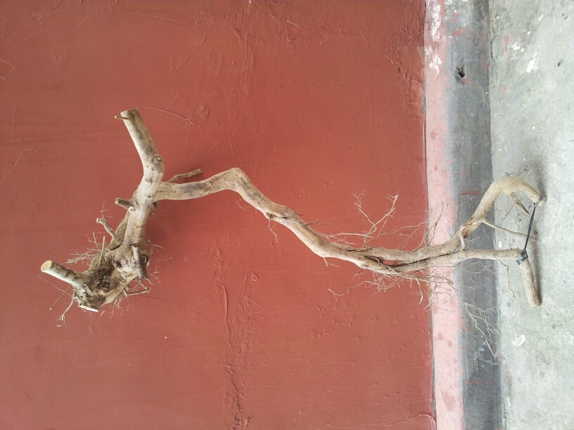 20140102_144128.jpg