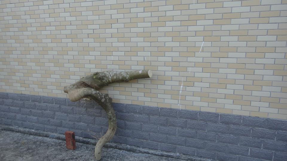 DSC01107.JPG