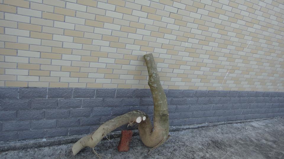 DSC01113.JPG