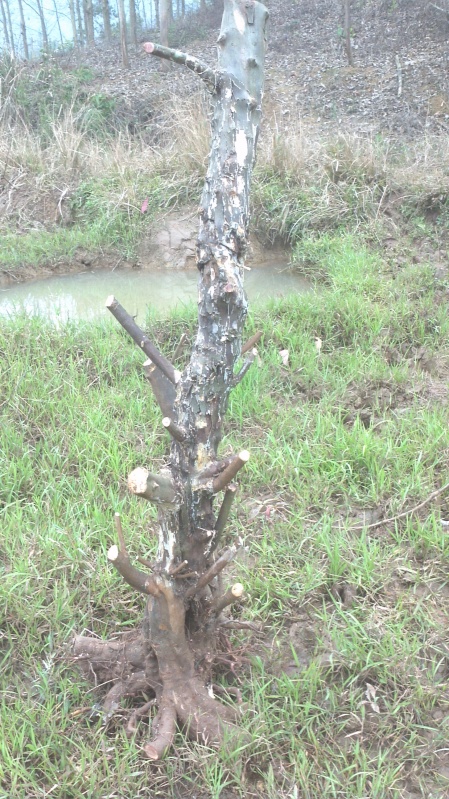 2014-01-11_14-40-12_351_conew1.jpg