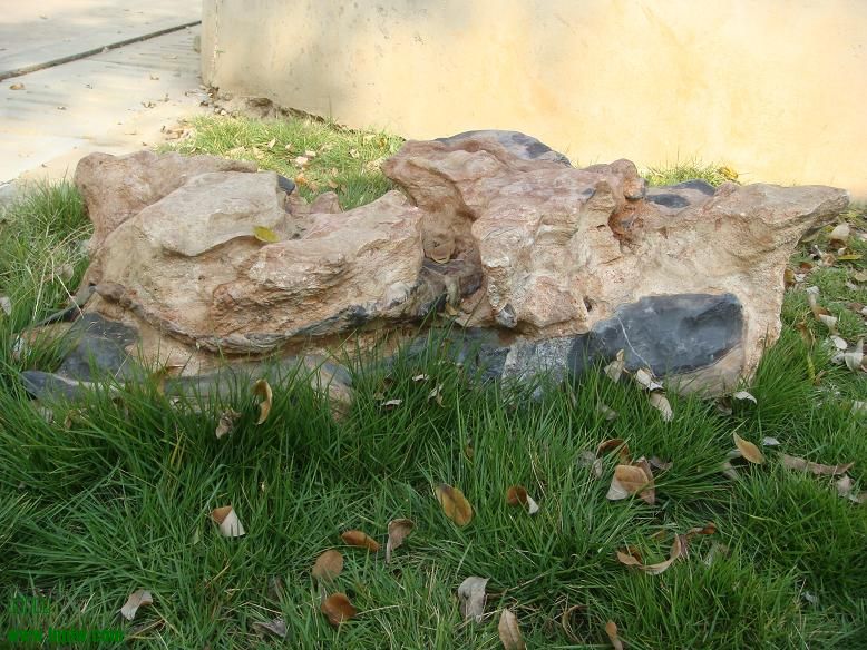 DSC05943.JPG