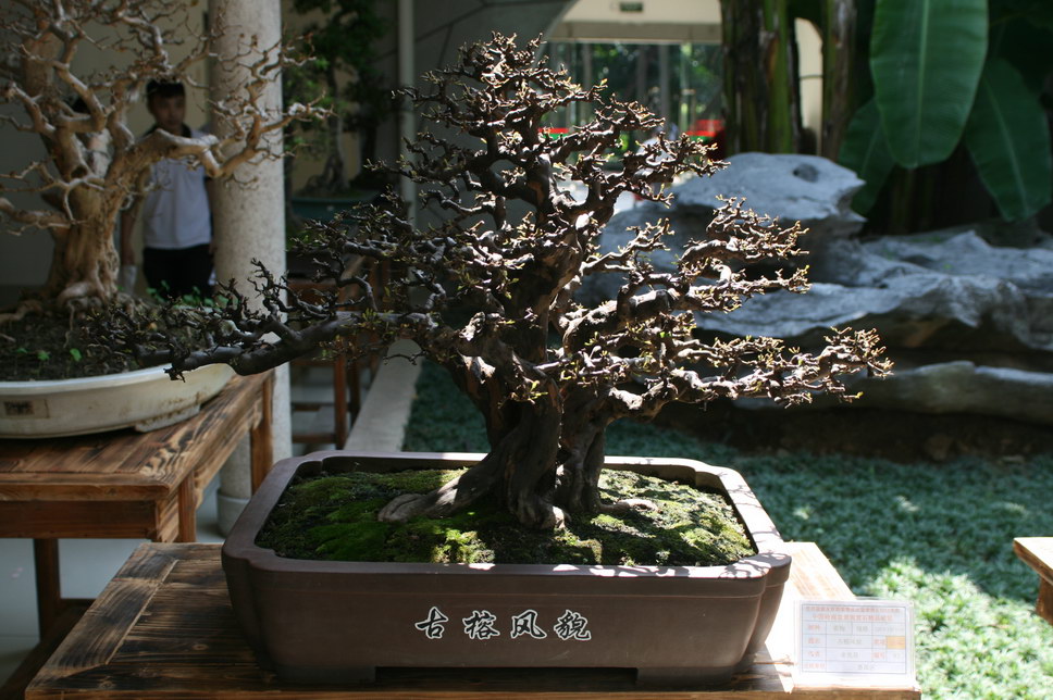 SBQ_20131003_1180.JPG