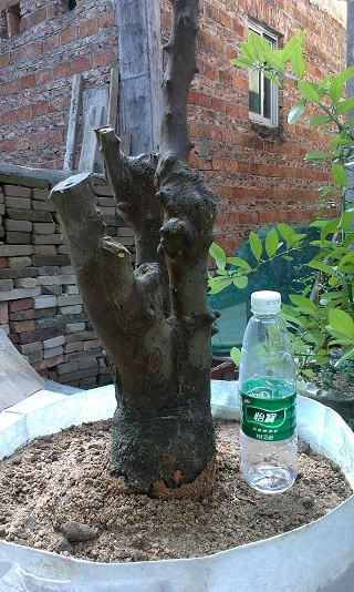 IMAG0415.jpg
