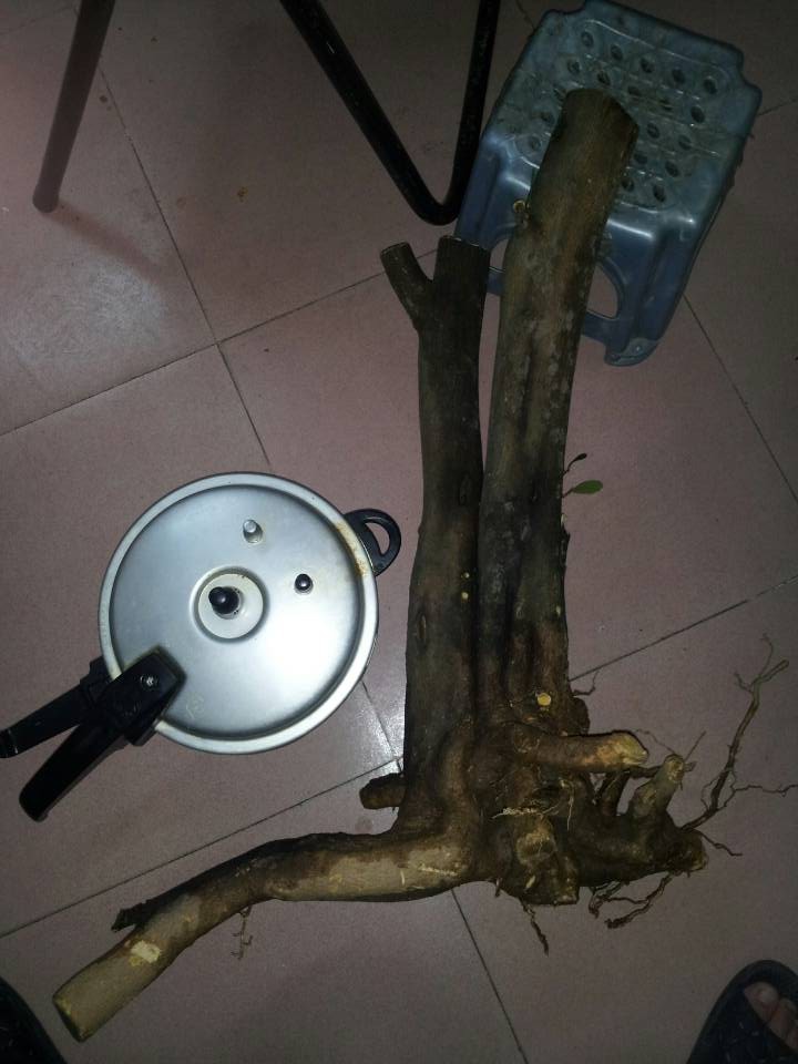 QQͼƬ20140117175440.jpg