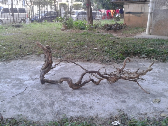 ۾