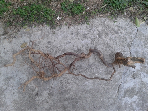 20140118_104621.jpg