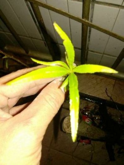 201401.jpg