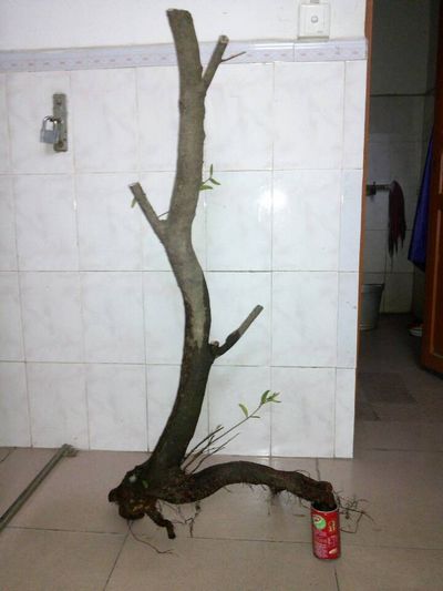 201402.jpg