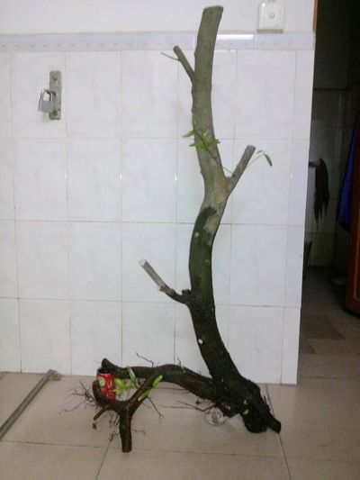 201407.jpg