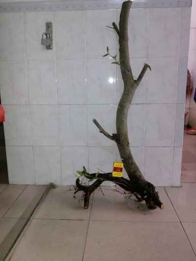 201409.jpg