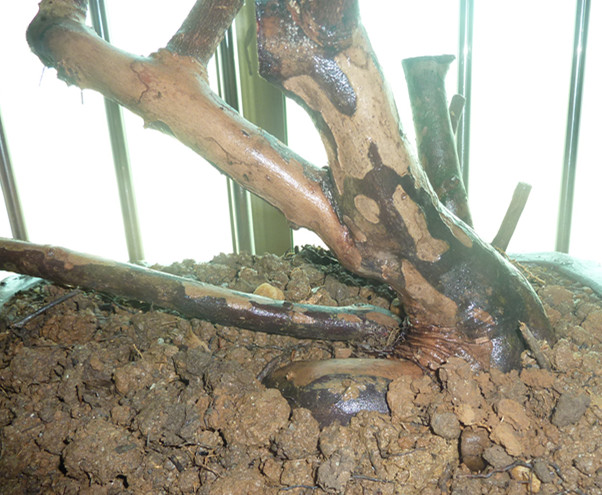 P1000430_.jpg