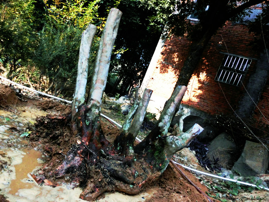 CIMG0415.JPG
