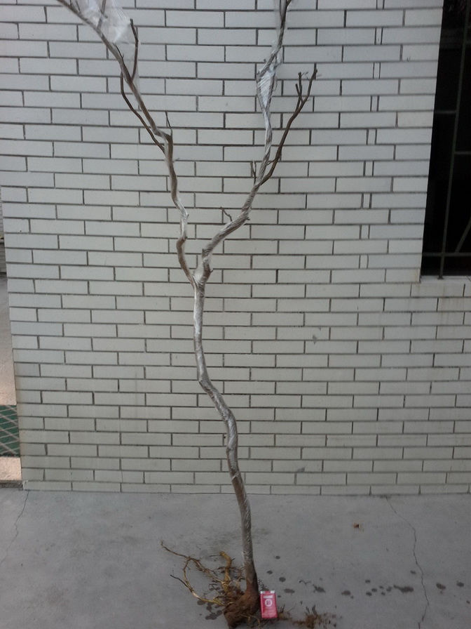 20140120_175045_С.jpg