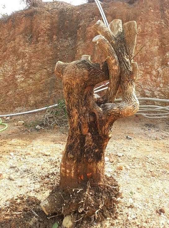 20140120_150456.jpg