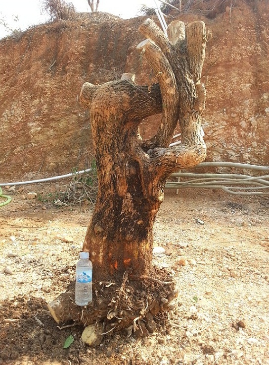 20140120_150639.jpg