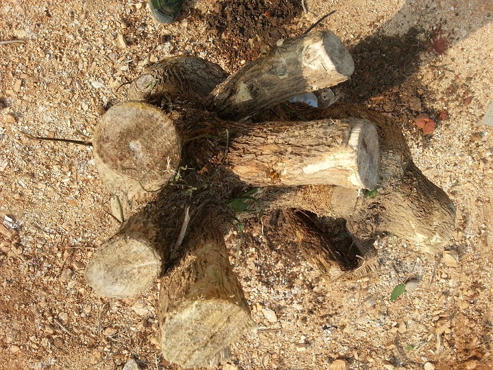 20140120_150714.jpg