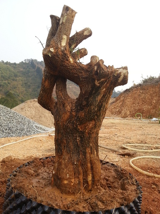 20140120_164336.jpg