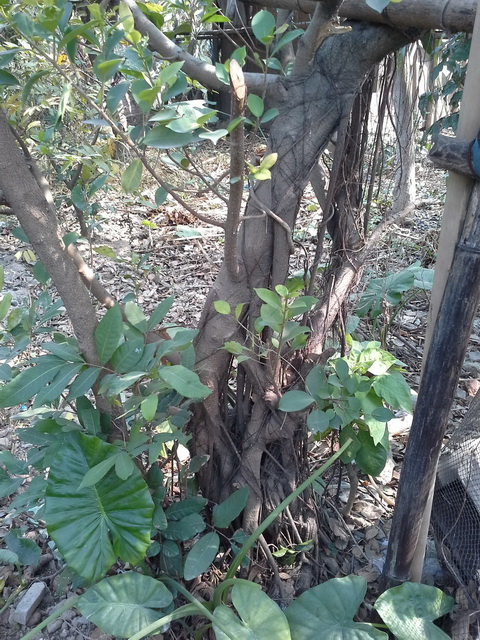 20140121_125456_С.jpg