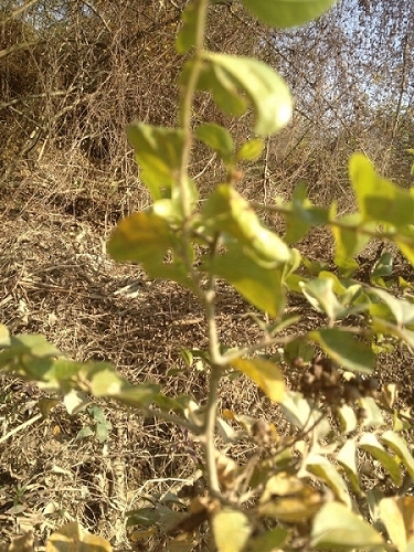 QQͼƬ20140121221513.jpg