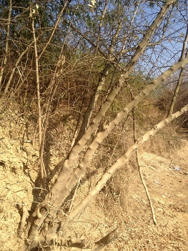 QQͼƬ20140121221753.jpg