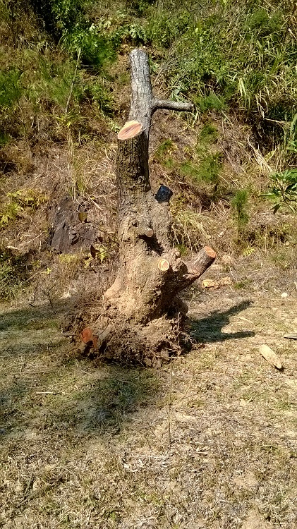 WP_20140122_007.jpg
